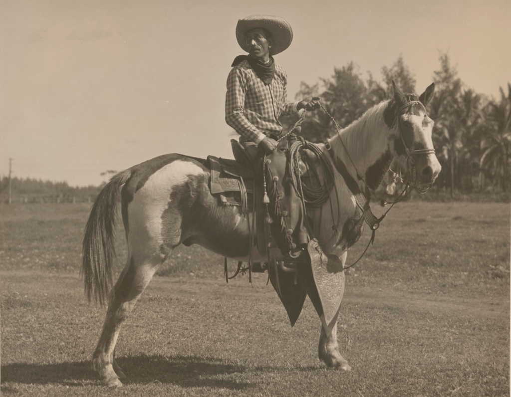 State archive photo of paniolo wearing the palaka shirt that became a symbol of worker power in the 1970s in Hawaii.